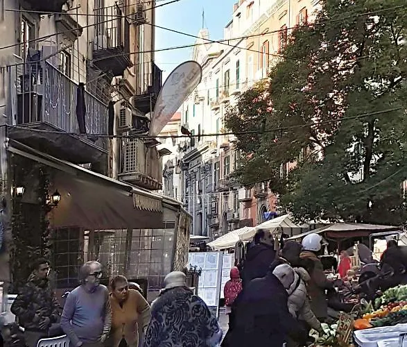 Alojamento de Acomodação e Pequeno-almoço Donna Anna 3*